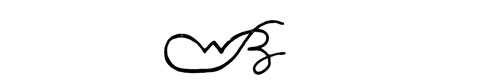 la signature du peintre burton-w-s