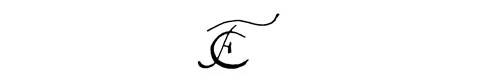 la signature du peintre Christian Friedrich--fues